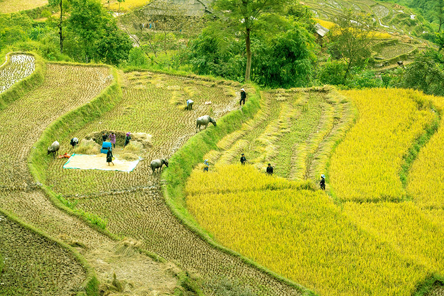 Vietnam Discovery And Beach Tour - Vietnam Essentiel Travel - Pu Luong