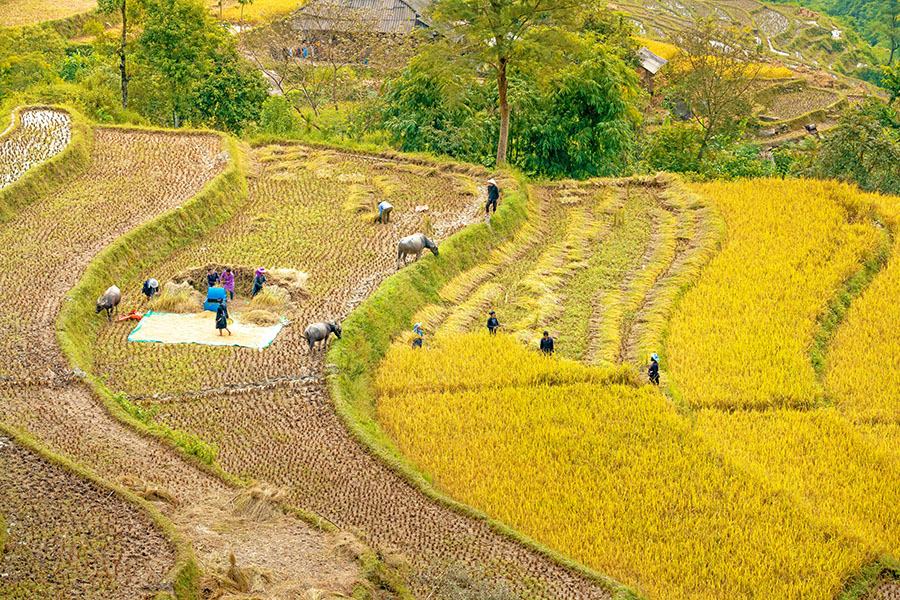 Vietnam Esstiel Travel - Vietnam itinerary 21 days - Pu Luong