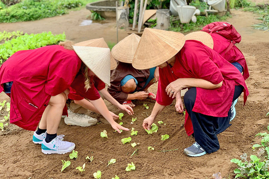 Vietnam Esstiel Travel - Vietnam itinerary 21 days - Tra Que